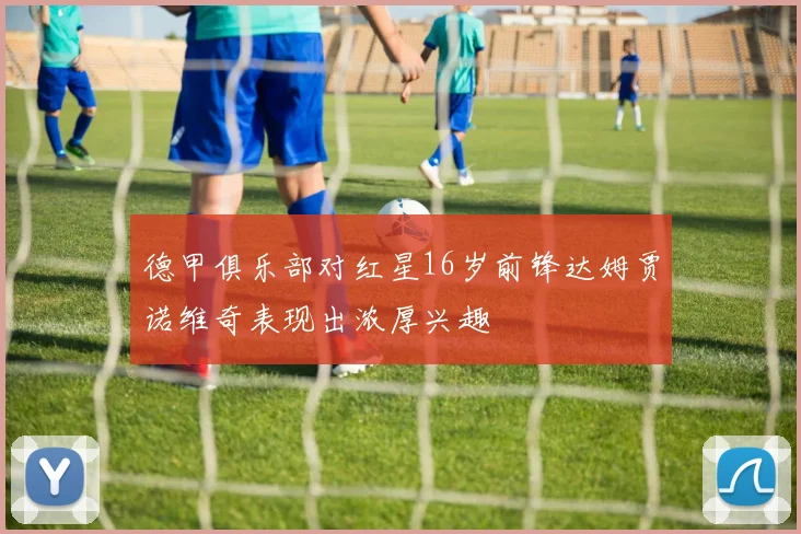 德甲俱乐部对红星16岁前锋达姆贾诺维奇表现出浓厚兴趣