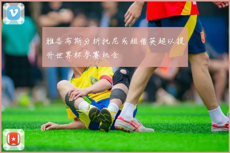 雅各布斯分析托尼或租借英超以提升世界杯参赛机会