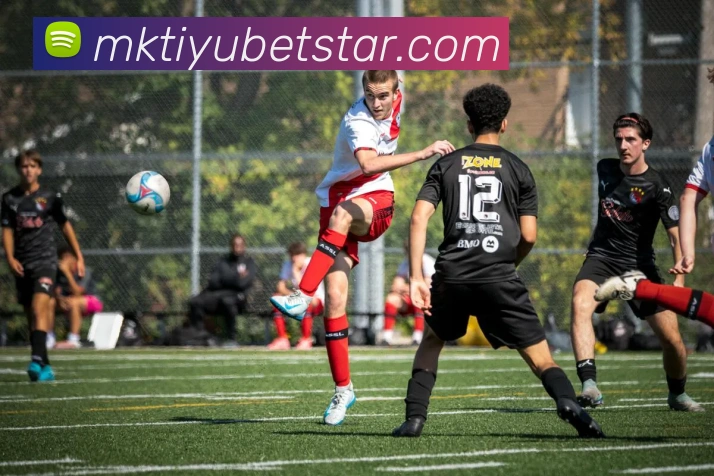 多媒体互动体验